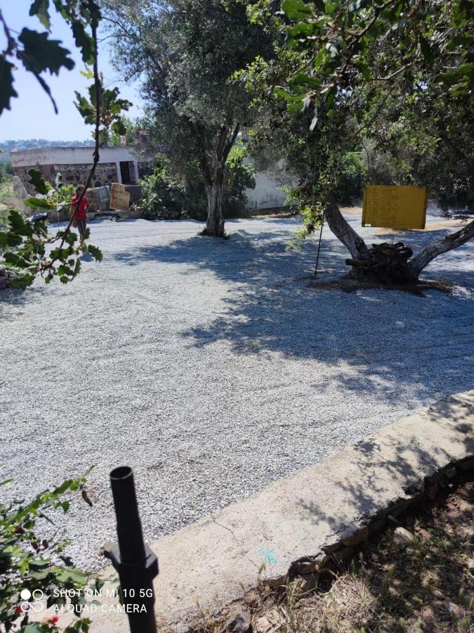 Bodrum Masali Camping Gümüşlük Exterior foto